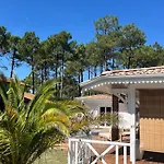 La Des Pins Willa Lacanau
