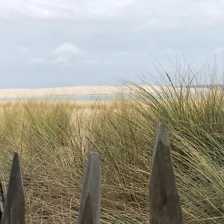 La Des Pins * Lacanau