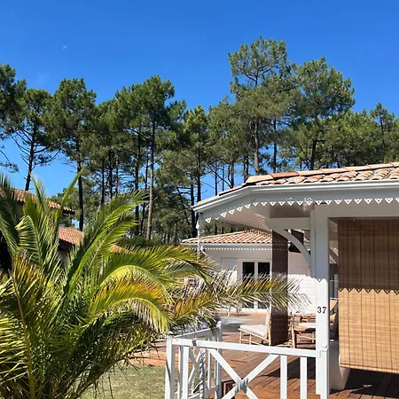 La Des Pins Villa Lacanau