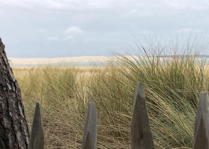 La Des Pins * Lacanau