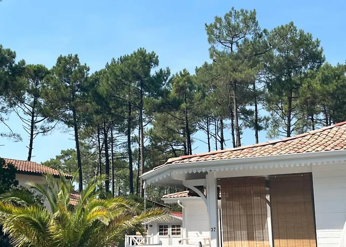 La Des Pins Villa Lacanau